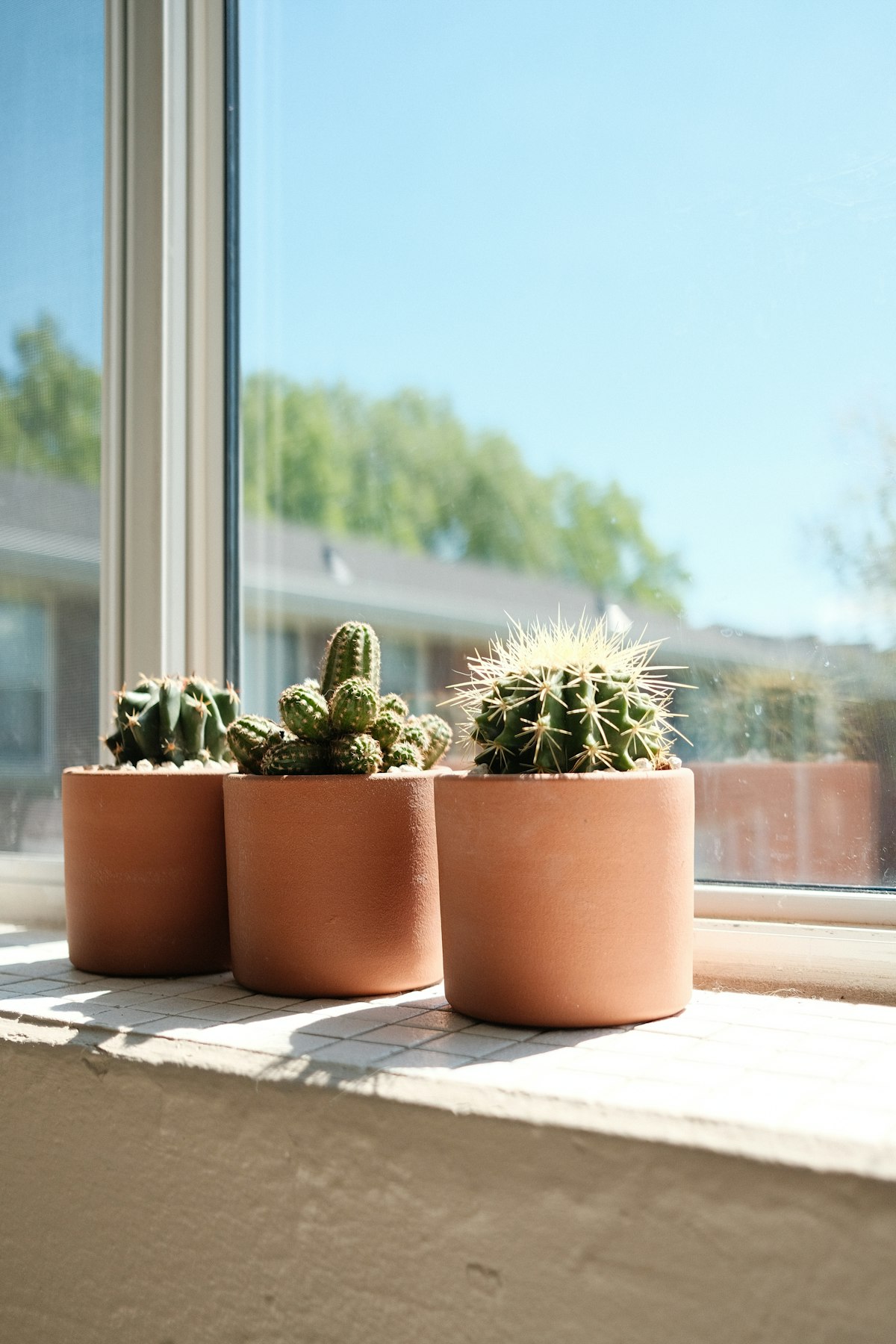 Desert botanical planters